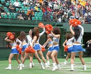 アルビレックス・チアリーダーズ