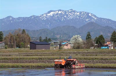 三条市下田地区の中野原で残雪の粟ヶ岳を背景にゆっくりと進むトラクター