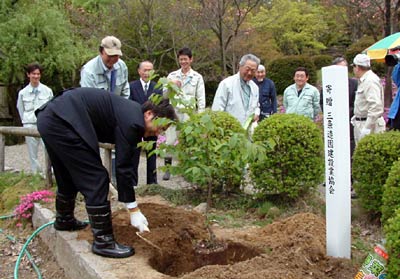 1日、三条市保内公園で行われた三条造園建設業協会が三条市に寄付した菊咲奥丁字桜の植樹