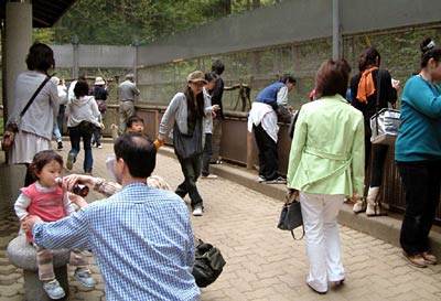 3日、ことし2番目の大入りだった加茂山公園リス園
