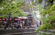 新緑が気持ちいい公園内