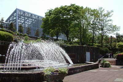 19、20の2日間、春の保内公園まつりが開かれる保内公園