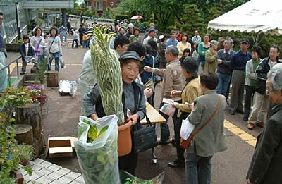 19日の春の保内公園まつり、特賞の観葉植物を受け取る市民