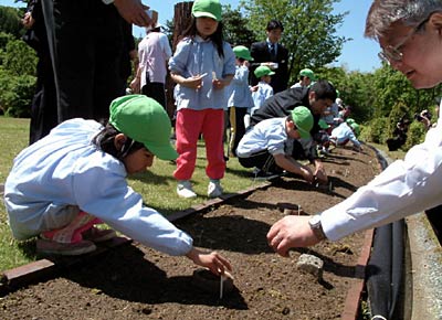 21日、中小企業大学校三条校でヒマワリの種まきをする第二つくし保育園年長児