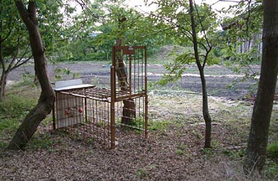 クマの足跡が見つかった三条市東大崎地内に設置された箱わな