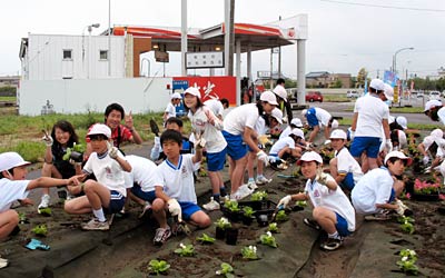 1日、学校そばの市道桜町井土巻線で花の苗を燕西小児童