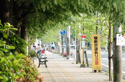 三条市でことし最高の29.2度を観測した13日の三条市役所前通り