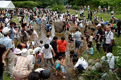 25日、三条市しらさぎ森林公園で行われた花菖蒲まつりのニジマス700匹つかみ取り大会
