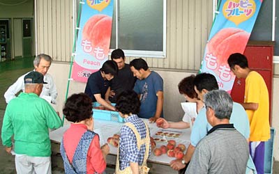 11日、果樹産地の三条市大島地区で行われた大島園芸振興協議会のモモの目合わせ