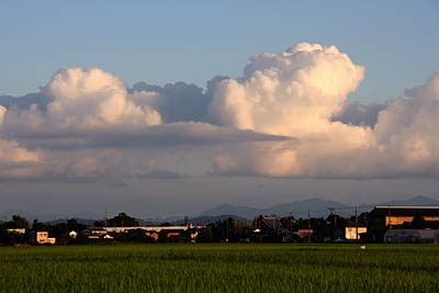 「大暑」だった23日の夕方、三条市上須頃地内で緑が広がる水田の向こうに赤く染まる入道雲
