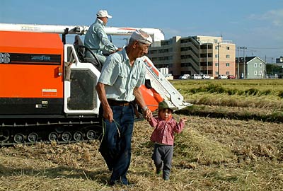 ことし2番目の猛暑のなか、三条市西裏館地内で一家総出で稲刈り