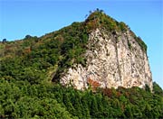 一部が紅葉しているていどの八木ヶ鼻