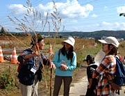 諏訪地内の破堤現場で、新しい土地に最初に生える草「アカザ」と説明を聞く