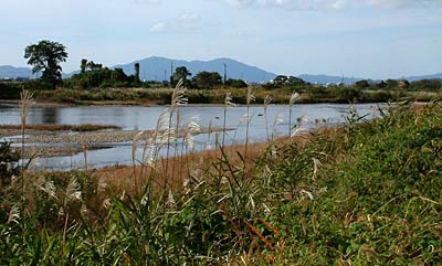 三条市篭場1地内の五十嵐川河川敷から下流側、弥彦山を望む