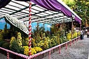 風景花壇「兼六園」