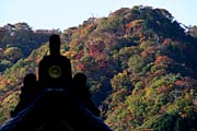 拝殿の屋根の向こうの弥彦山は中腹あたりまで紅葉