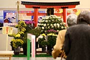 JR燕三条駅の弥彦菊まつりをPRする花壇