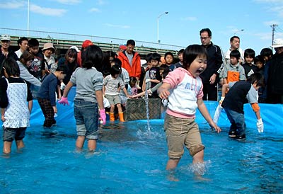 3日行われた第20回加茂川鮭まつりのサケとヤマメのつかみ捕り