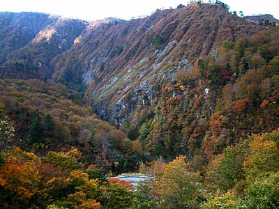 八十里越紅葉観賞ツアーで八十里越工事用道路から望む紅葉
