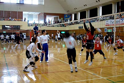 4日開かれた第29回さんしんファミリーバレーボール大会