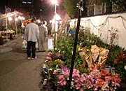 三条市青少年育成センター付近では植木市