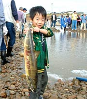大きなサケをゲット