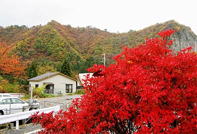 12日、「しただブログ」に掲載された真っ赤に燃えるドウダンツツジと奥に八木ヶ鼻の写真