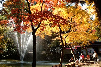 加茂市・加茂山公園の神池と紅葉