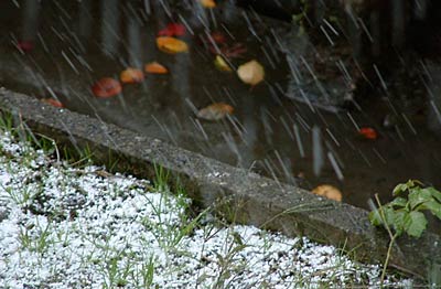 19日朝、三条市内に降るあられ