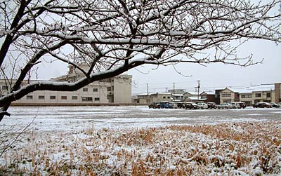 本格的な雪で白くなった午後0時16分の三条市興野1