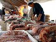 タコや塩引きを売る鮮魚店