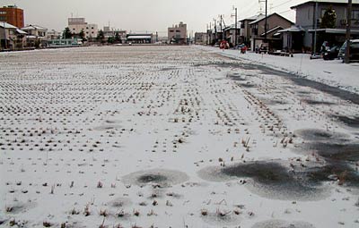 13日朝、三条市横町2付近の氷が張った田んぼ
