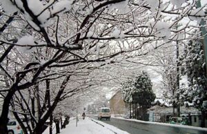 16日の三条市の最高気温は0.1度で今冬最低、日中はほとんど氷点下の真冬日に迫る厳しい寒波