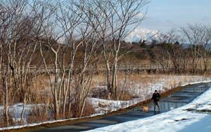 青空が広がって6日の三条市の最高気温は7日ぶりに5度を超す