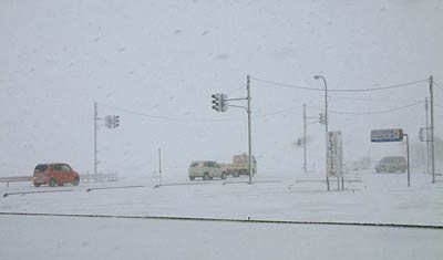 栄庁舎付近で風吹で一面真っ白な景色のなかを走る車