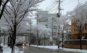15日は寒さ厳しく、三条市は26日ぶりに積雪が10センチ超す
