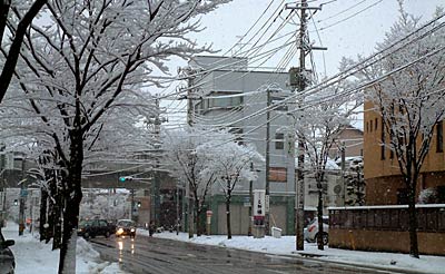 15日夕方の三条市旭町地内