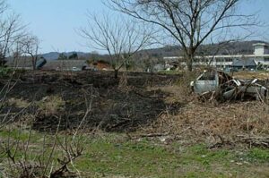 5日昼前、たき火が燃え広がって枯れ草約600平方メートルが燃える