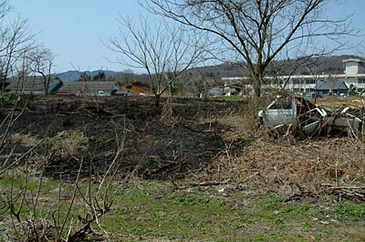 5日昼前、枯れ草約600平方メートルが燃えた三条市原地内の現場、左奥の屋根は元原保育所、右奥は長沢小