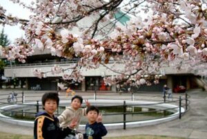 7日の三条市の最高気温は今春最高、初めて20度を超える20.2度