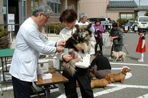 16日に三条市井栗公民館で行われた狂犬病予防注射