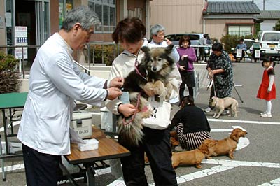 16日に三条市井栗公民館で行われた狂犬病予防注射