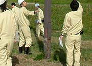 腐食した街灯のポール