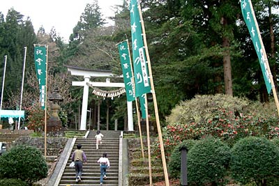 20日に第42回雪椿まつり大園遊会が開かれる加茂山公園には「祝雪椿まつり」とあるのぼりた立つ
