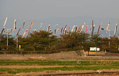 ゴールデンウイークのにぎわいが予想される燕市吉田ふれあい広場では3本のワイヤーに取り付けられた数十匹ものこいのぼりが薫風に泳ぐ