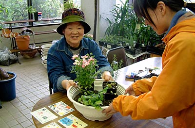 5月17、18日に保内公園で開かれる春の保内公園まつりの寄せ植えコンテストで、規定部門で使う鉢など