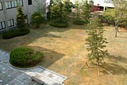 子育て総合拠点施設に変わる栄庁舎1階