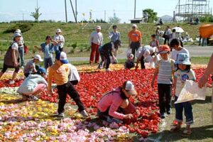 「にいがた花絵プロジェクト」、燕市ではことしも大曲河川公園で花絵を制作