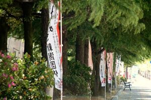 13日は風が強かったが気温は6日ぶりに20度を超す