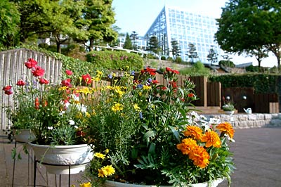 17、18日と保内公園まつりを開く三条市保内公園
